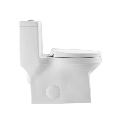 Dual Flush Comfort Height Toilet