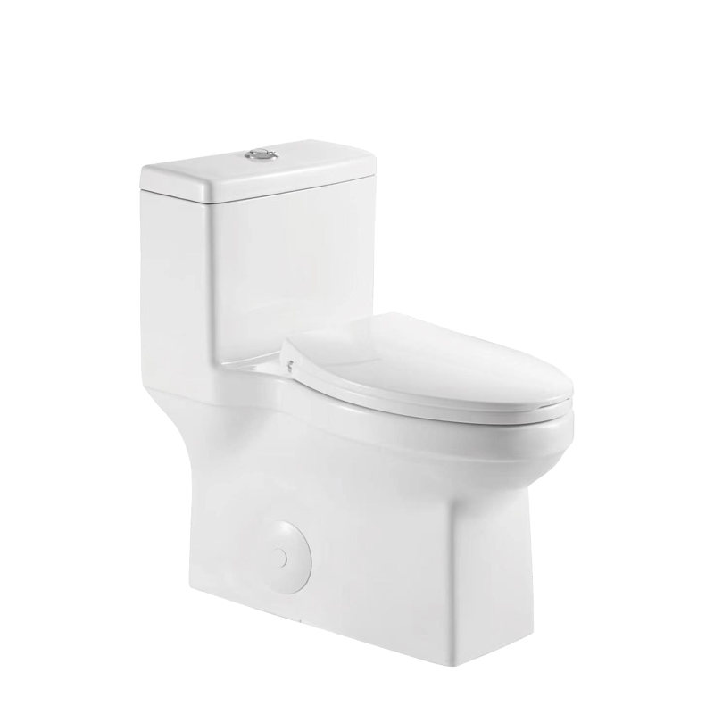 Dual Flush Comfort Height Toilet