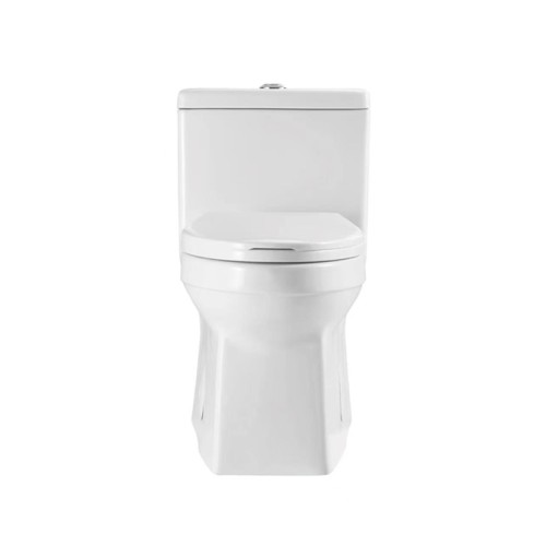 Dual Flush Comfort Height Toilet