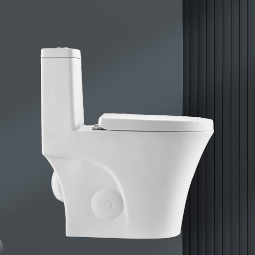 European Water Closet S and P Trap 