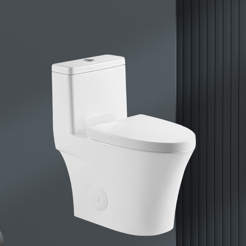 European Water Closet S and P Trap