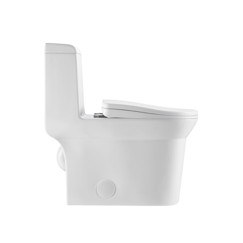 Shallow Depth Compact Elongated Toilet