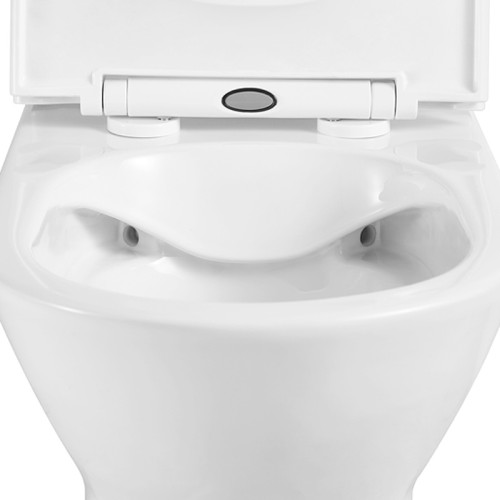 Modern Fully Shrouded Rimless Toilet