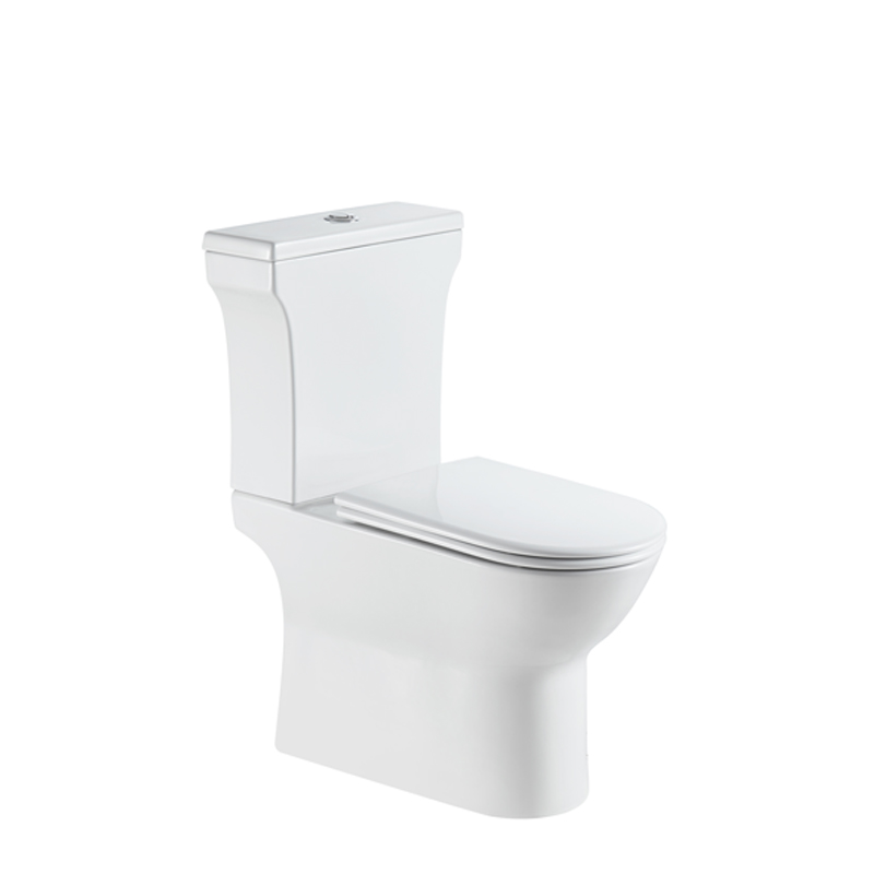 Modern Fully Shrouded Rimless Toilet