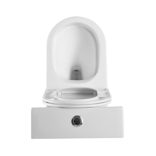 Modern Fully Shrouded Rimless Toilet