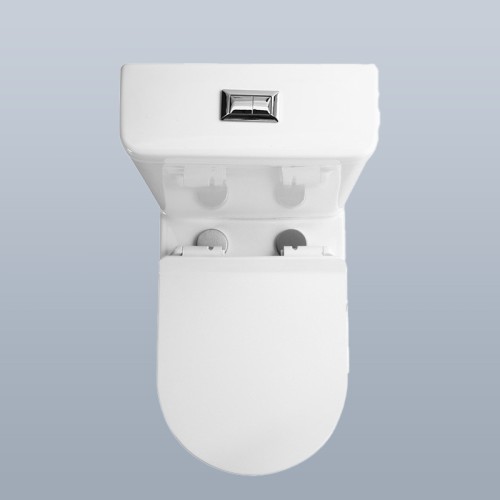 Compact Close Coupled Toilet