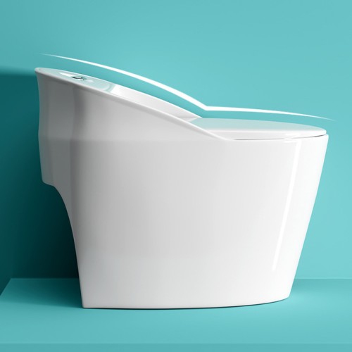 Contemporary Rimless One Piece Toilet Factory