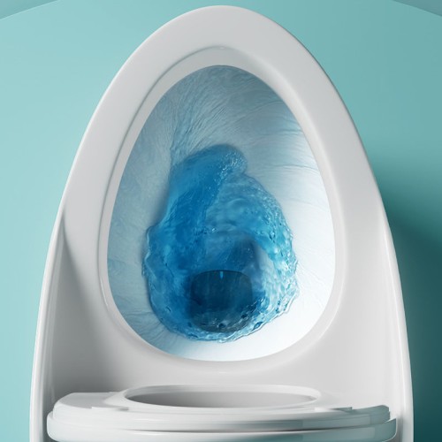 Contemporary Rimless One Piece Toilet Factory