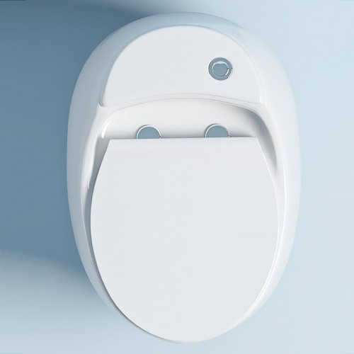 10 Inch Rough in Comfort Height Toilet Supplier