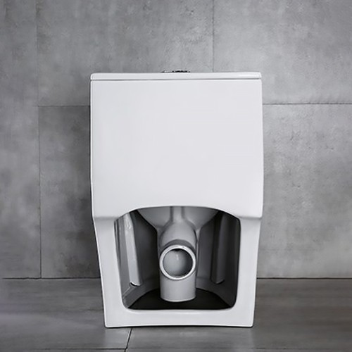 Floor Mount Rear Outlet Toilet