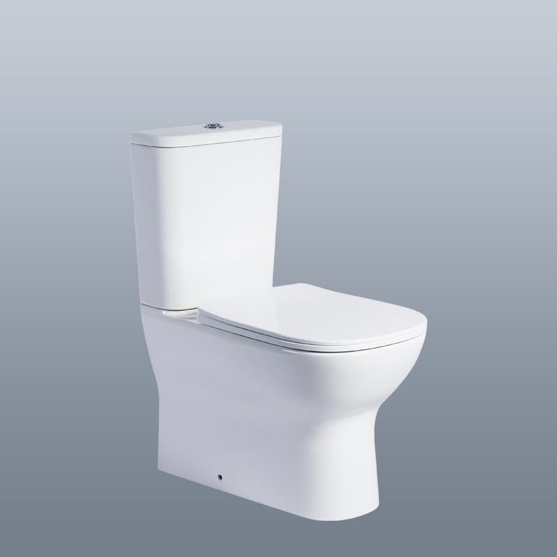 Close Coupled Short Projection Toilet