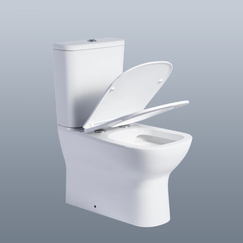 Close Coupled Short Projection Toilet