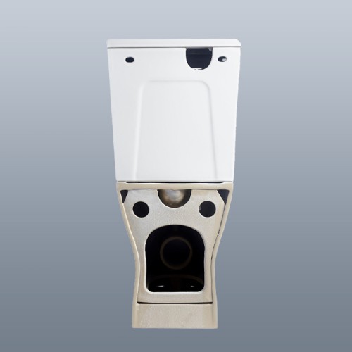 Close Coupled Short Projection Toilet