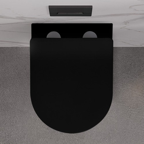 Matt Black Wall Hung Rimless Toilet