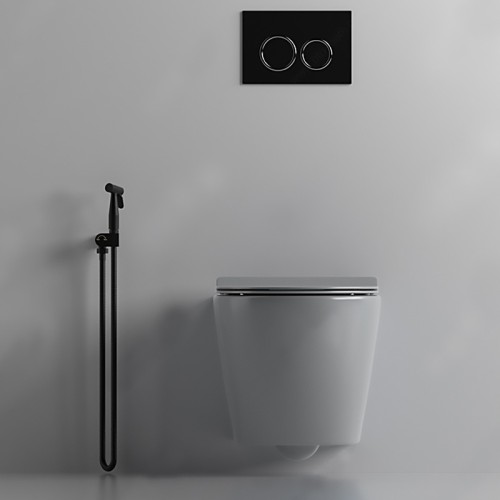 Residential Grey Round Wall Hung Toilet