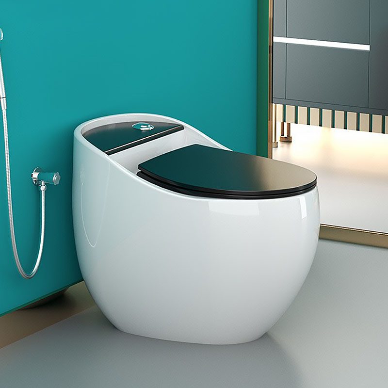 White Egg Shape Toilet With Black Lid