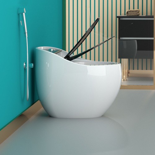 White Egg Shape Toilet With Black Lid