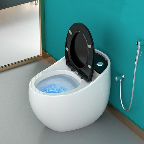 White Egg Shape Toilet With Black Lid