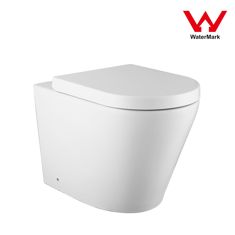 Back to Wall WC with Concealed Cistern