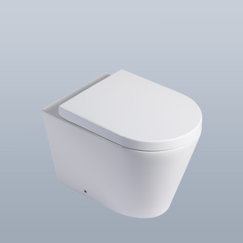 Back to Wall WC with Concealed Cistern