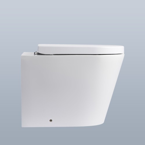 Back to Wall WC with Concealed Cistern