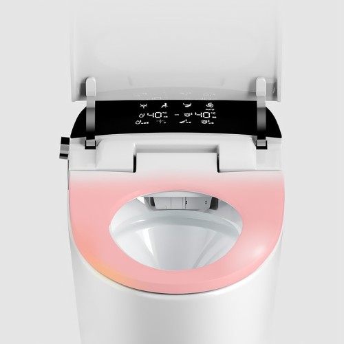 Intelligent Toilet With Large Toilet Seat