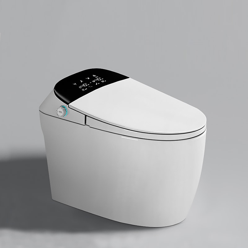 Intelligent Toilet With Large Toilet Seat