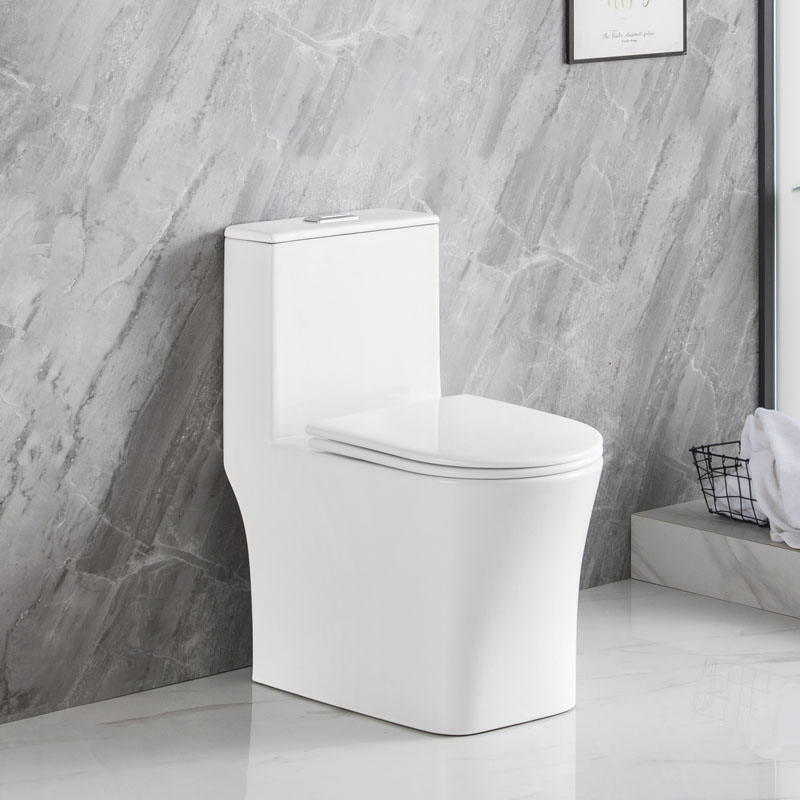 One Piece Concealed Trapway Toilet