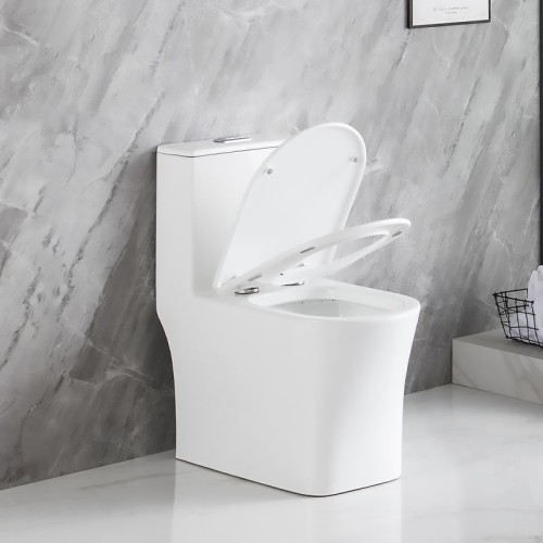 One Piece Concealed Trapway Toilet 