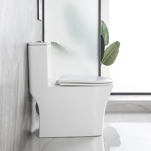 One Piece Concealed Trapway Toilet