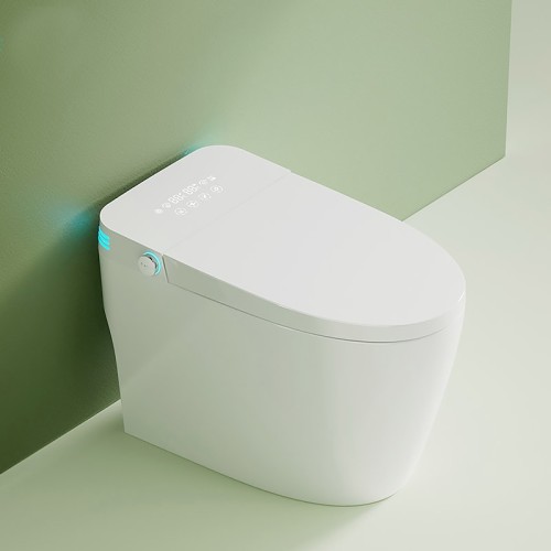 Automatic Flushing Toilet for Home | Top Toilet Manufacturer - Jabra ...