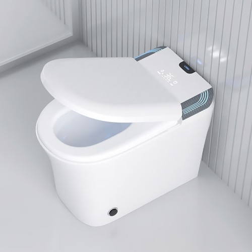 High-Quality Waterproof Carbon Fiber Toilet