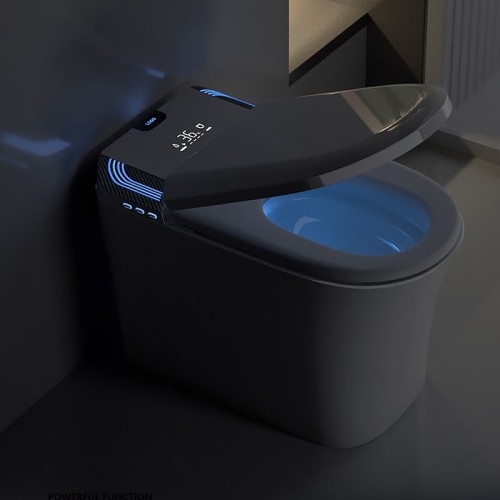 High-Quality Waterproof Carbon Fiber Toilet