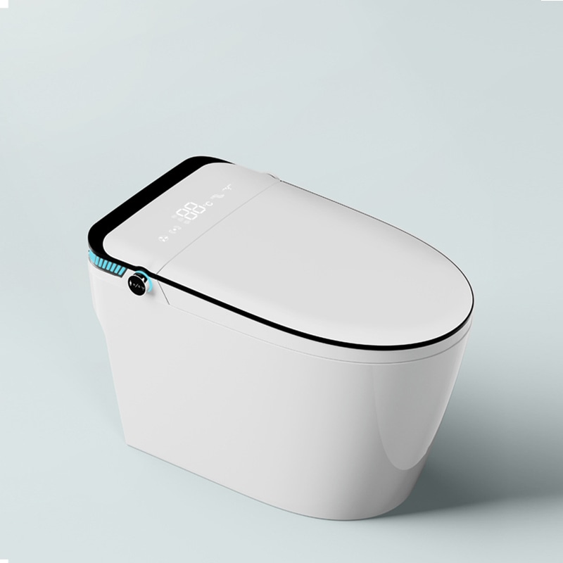 Toilet With Warm Water Bidet