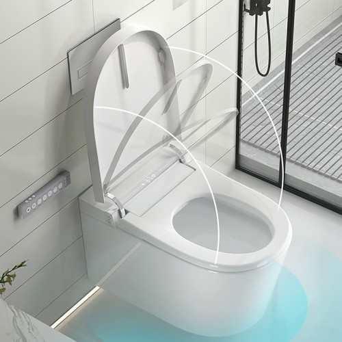 Wall Mount Smart Bidet Toilet