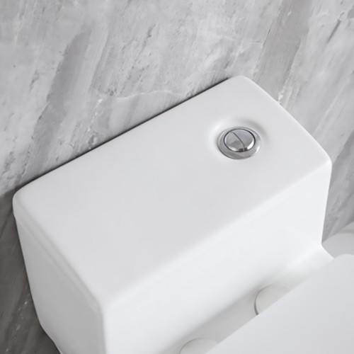 Fully Glazed Large Trapway Toilet