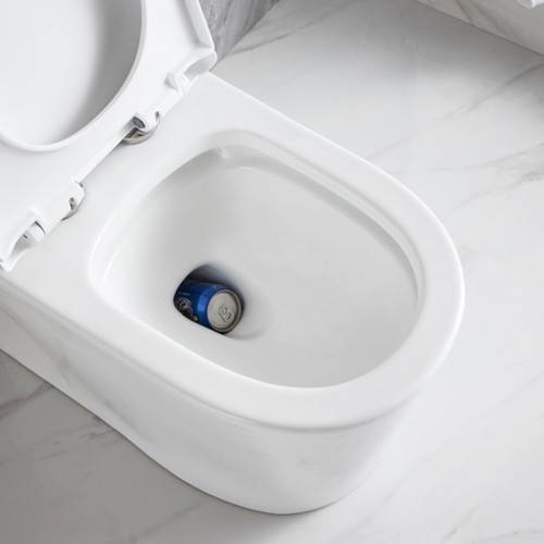 Fully Glazed Large Trapway Toilet