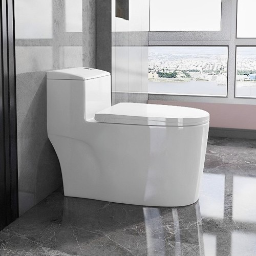 Fully Glazed Large Trapway Toilet 