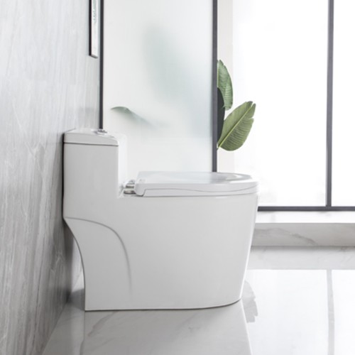 Fully Glazed Large Trapway Toilet