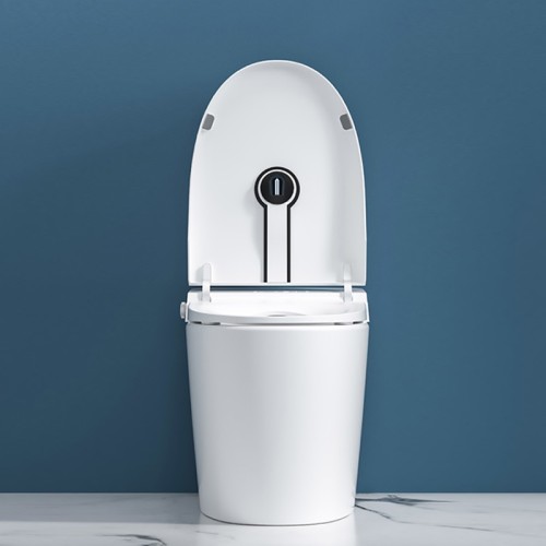 Floor Standing Siphon Flush Toilet