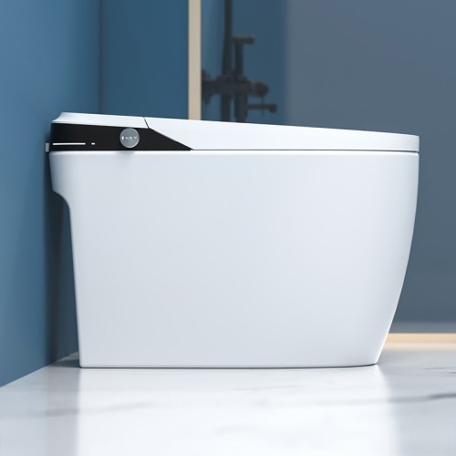 Floor Standing Siphon Flush Toilet