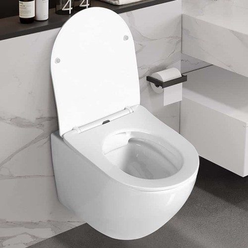 Rimless Wall Hung Toilet