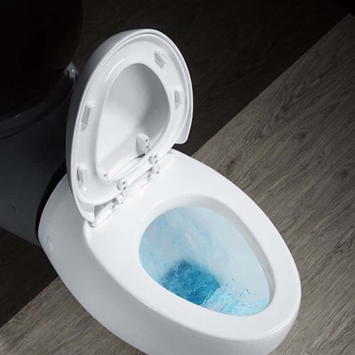 Egg Shaped Wall Hung Smart Toilet