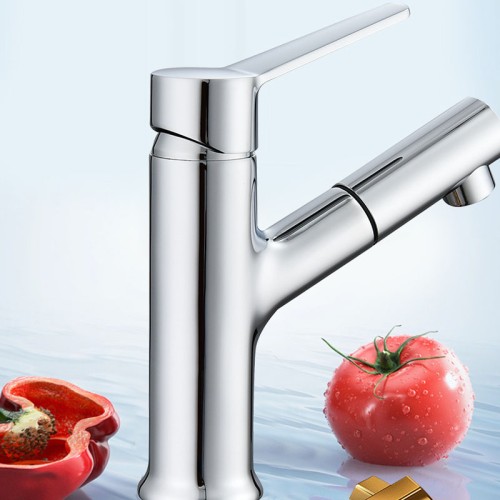 Bar Kitchen Sink Pull Out Faucet