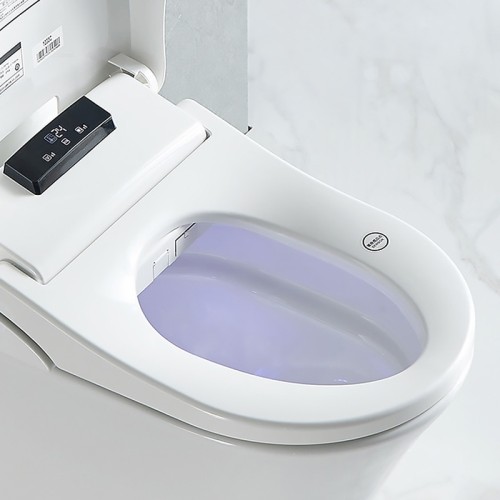 Japanese Toilet Bidet With Dryer