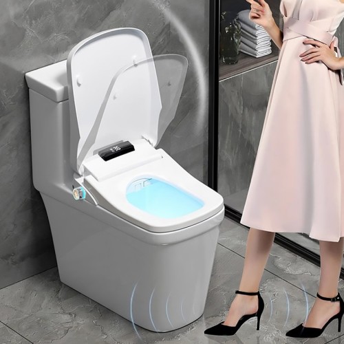 Remote Control Heated Bidet Toilet Seat