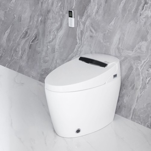 One-Piece Elongated Smart Toilet