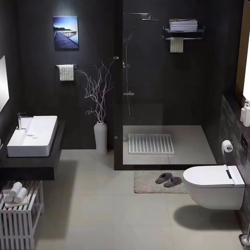 One-Piece Wall Mounted Smart Bidet Toilet