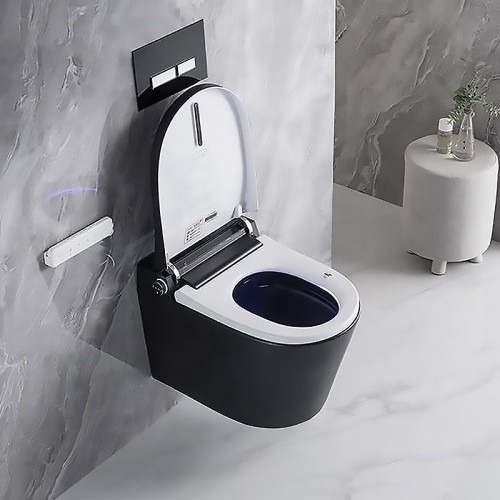 Black Smart Bidet Toilet