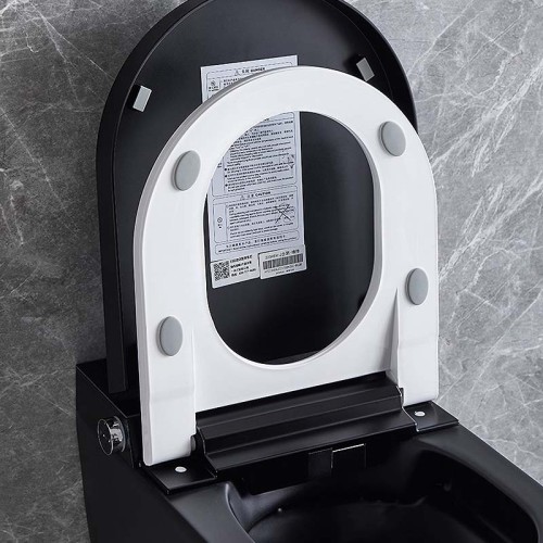 Black Smart Bidet Toilet